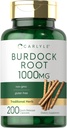 Carlyle Burdock Root  1000 mg ← 200 Capsules ← Non-GMO y Gluten Free Fórmula ← Herb tradicional Suplemento Silencio Arctium Lappa Extract
