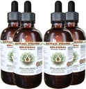 Selfheal Alcohol-Free Liquid Extract, Organic Selfheal (Prunella Vulgaris) Dried Herb Glycerite Natural Herbal Suplemento, Hawaii Pharm, USA 4x4 fl.oz