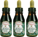 3 botellas de Apiario Silvestre Bee Pollen &amp; Brazil Green Bee Propolis Liquid - Glic extract-Non Alcoholic, Wax Free, Sugar Free