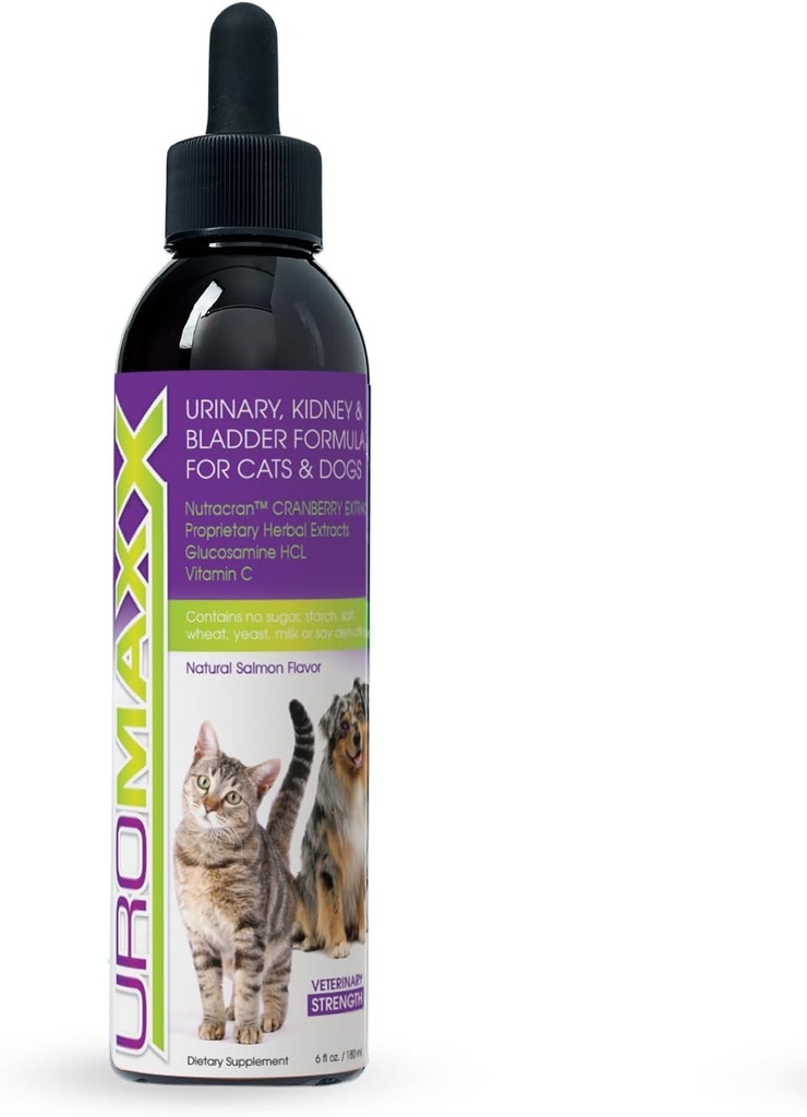 Cat &amp; Dog Urinary Tract Treatment, Bladder & Kidney Support for Dogs and Cats, Powerful Yet Gentle Pet Care, with Liquid Cranberry &amp; Glucosamine, Salmon Flavor, 6 oz Bottle, 1 Pack