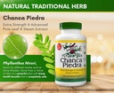 Chanca Piedra 500 mg 60 cápsulas (Stonebreaker) - para la salud renal, piedra y orina, suplemento de piedra renal