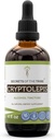 Secretos de la Tribu Cryptolepis Tincture Extracto de alcohol, gotas herbales de alta potencia, Tintura Hecha de Criptolepis silvestres Sanguinolenta 4 oz