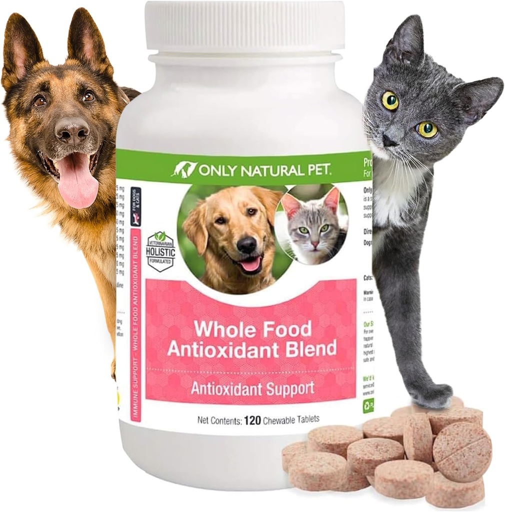 Únicamente Mascotas Naturales Antioxidante Alimentario Verde Té &amp; Berry Antioxidante Vitamina Suplemento Licuado para Perros, para apoyar un sistema sano de inmunes, combatir los daños radicales libres - 60 cerdas blandas