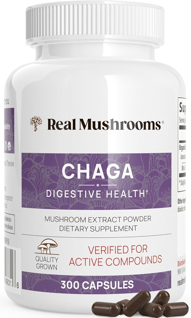 Setas Reales Chaga Mushroom Capsules – Polvo Extracto de Chaga Orgánica con Polvo Extracto para Wellness & Energy Support– Vegan, No-GMO, 300 cápsulas – Suplemento de seno orgánico
