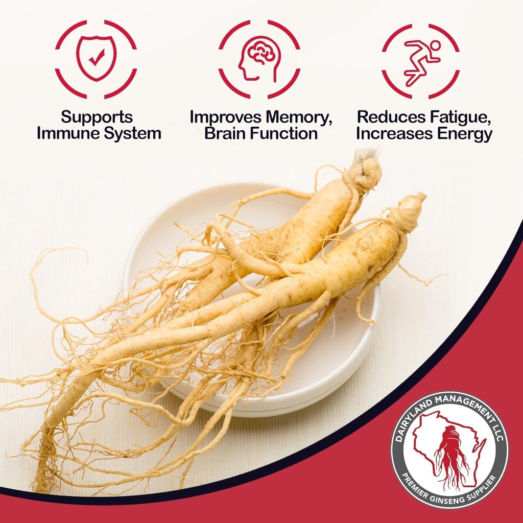 Dairyland American Ginseng Slices - 4 oz Pack Wisconsin Ginseng Slices – Certified Algo Especial de Wisconsin - No GMO, Gluten Free Sliced Root - Suplemento Herbal en Soup, Té, Congee
