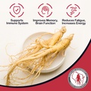 Dairyland American Ginseng Slices - 4 oz Pack Wisconsin Ginseng Slices – Certified Algo Especial de Wisconsin - No GMO, Gluten Free Sliced Root - Suplemento Herbal en Soup, Té, Congee