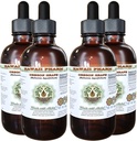 Hawaii Pharm Oregon Grape Alcohol-Free Liquid Extract, Oregon Grape (Mahonia acufolium) Dried Root Glycerite Natural Herbal Supplement, USA 4x4 fl.oz