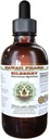 Extracto líquido libre de alcohol de arándanos orgánicos (Vaccinium myrtillus) Hoja seca Glycerite Hawaii Pharm Natural Herbal Suplemento 2 oz