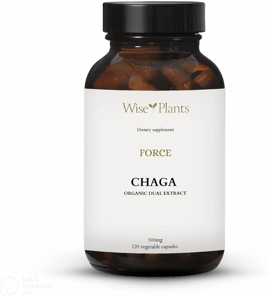 Chaga Mushroom Supplement. Dual Extract, Pure Fruiting Body, 30% Polysaccharides, 500 mg, 120 vegecaps (120-Day Supply). Can support healthy digestive, immune function and promote heart health.