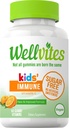 Wellvites Sugar Free Kids Immune Daily Gummy Vitamins - Vegan, Non-GMO - Vitamina C Gummies for Kids Immune Support, No Artificial Sweeteners, Gluten-Free, Gelatin-Free, 60 Conde (30 Day Supply)
