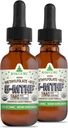 RawGuru Methylfolate 1mg+ Vitamina B12 - Organic Vegan Methylated B12 with Trace Minerals - Nano-Procesado &amp; Enhanced Liquid Formula - 300 Servimientos de gotas Vegan por 30 ml, Pack de 2