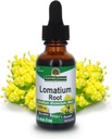 Respuesta de la Naturaleza Lomatium Root Extracto Lomatium Dissectum - Suplemento Natural Herbal - Sin gluten Alcohol - Ideal para inmunidad Bienestar general de la salud – 500 mg (1 FL Oz)