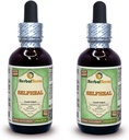 Selfheal (Prunella Vulgaris) Glycerite, Organic Dried Herb Alcohol-FREE Liquid Extract (Marca: HerbalTerra, Proudly made in USA) 2x2 fl.oz (2x60 ml)