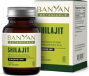 Banyan Botanicals Shilajit – Organic and Sustainable Mineral Pitch – Mineral-Rich Shilajit Supplement for Natural Detoxification and Healthy Aging* – 90 Tablets – Non GMO Sustainably Sourced Vegan
