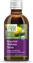 Gaia Kids Bronchial Wellness Syrup - Immune Support Supplement - Global Throat & Lung Health Support - Certified Organic Formula with English Plantain, Grindelia & Honey - 3 Fl Oz (18 Servings)