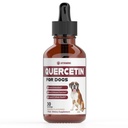 Quercetina para perros ← Alivio de la Alergia del Perro ← Quercetina para Perros Alergia del Perro Silencio para Perros Quercetina ← Alergia del Perro ← Perro Quercetin Alergias del Perro