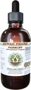 Parsley Extract líquido libre de alcohol, Parsley (Petroselinum Crispum) Root Glycerite Natural Herbal Suplemento, Hawaii Pharm, USA 2 fl.oz