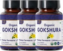 Gokshura 120 Tablets ← Tribulus Terrestris (Gokshura) Silencio USDA Orgánica Certificada Silenciosos Inmunity and Strength ← Orgánica y Natural 120tab - Pack of 3