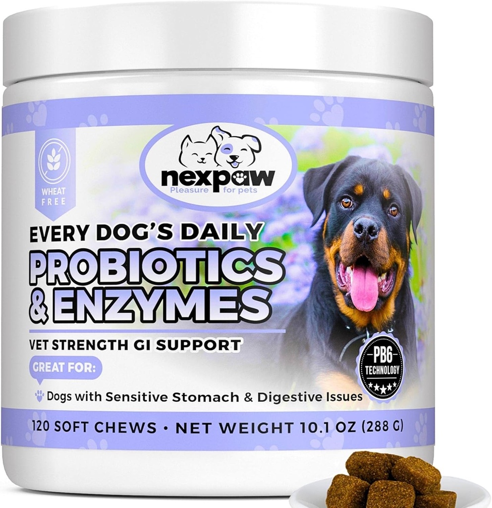 Probióticos de perros y enzimas digestivas - Diarrea de alivio, gas de perro, ruborización, estreñimiento, estómago de aparición - soporte digestivo de mascotas - Probióticos de cerda suave para perros &amp; cachorros