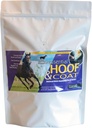 Pennwoods Essential Hoof & Coat - Suplemento de caballo con biotina para el crecimiento óptimo del casco, la sal saludable y el equilibrio nutricional, bolsa de 4 libras