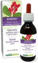 Naturalma Barberry (Berberis vulgaris) Tintura libre de alcohol - 4 fl oz Extracto líquido en gotas - Suplemento herbal - Vegan