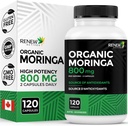 Renovar Activos Moringa Leaf Suplemento 800MG por 2 Capsules- Antioxidante-Rich Moringa Oleifera - Promueve Buena Salud &amp; Bienestar - Fácil de Tragar - Hecho en Canadá - 120 cápsulas