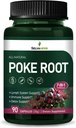 Poke Root Capsules Lymphatic Drainage Suplementos, Lymph System Support for Edema with Red Root Extract, Dandelion for Immune Boost & Lymph Detox Cleanse. Cuenta 90