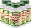 Sunshine Naturals Guisazo " Chancapiedra Herbal Blend, Natural Dietary Supplement for Wellness Support, 90 Capsules. Pack de 5