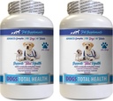 PET SUPPLEMENTS " NUTRITION LLC Dog Dental Hygiene - Dogs Total Health Control - Immune Support - Hair Skin Nails Oral Eye Health Formula - Oral Calcium for Dogs - 2 Botellas (120 Treats)