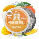 Nootropic Energy Caffeine Pouches • 100mg Caffeine • Alpha GPC • Huperzine A & Essential Vitamins • Sugar-Free • Coconut Fiber Technology • Mango Flavor • 15 Pouches Per Can (Pack of 1)