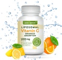 Liposomal - Vitamina c 1000mg - 60 Vitamina c Capsules - Absorción superior, biodisponibilidad liposomal Vitamina c por Luna y Mercurio