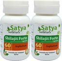 Shilajit Forte Capsules 500 mg. 60 Veg. Capsule peru Shilajit (Asphaltum) Extract Capsules for Hombres y Mujeres ← Ayurvedic Herbal Suplemento/Remedios  10:1 Forte (2 Botellas de 60 cápsulas)
