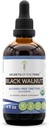 Secretos de la tribu de nuez negra USDA Orgánica ← Extracto libre de alcohol, gotas herbales de alta potencia  Made from 100% Certified Organic Black Walnut (Juglans Nigra) Dried Hull 4 oz