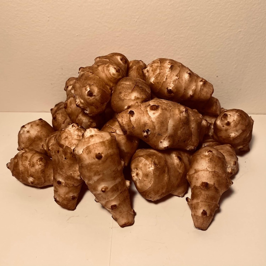 Sunchokes - 5 libras (5 libras) para planificar o comer FEDEX 2Day