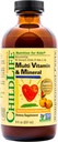 NILDLIFE ESSENTIALS Kids Multivitamin & Mineral - Vitaminas para niños, Multivitamínico líquido para niños, multivitaminas de Toddler, vitaminas líquidas, multivitamina de bebé - mango natural de naranja, 8 Fl Oz (Pack of 1)