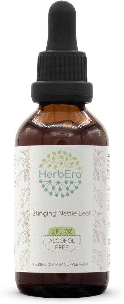 Hoja de herbaje B60 Extracto herbario libre de alcohol Tintura, gotas líquidas concentradas Nettle de estiramiento natural (Urtica Dioica) Hoja seca (2 fl oz)