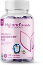 Hyland's Kids Organic Elderberry Plus Gummies, Organic Black Elderberry con ZINC y Vitamina C, Immune Support for Children, 48 Vegan Gummies