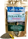 Life Line Organic Ocean Kelp Powder for Cats, Dogs, Livestock, and Horses – Natural Iodine Supplement for Healthy Skin, Coat, and Teeth – Reduce Plaque " Incrementa el metabolismo - 8 oz