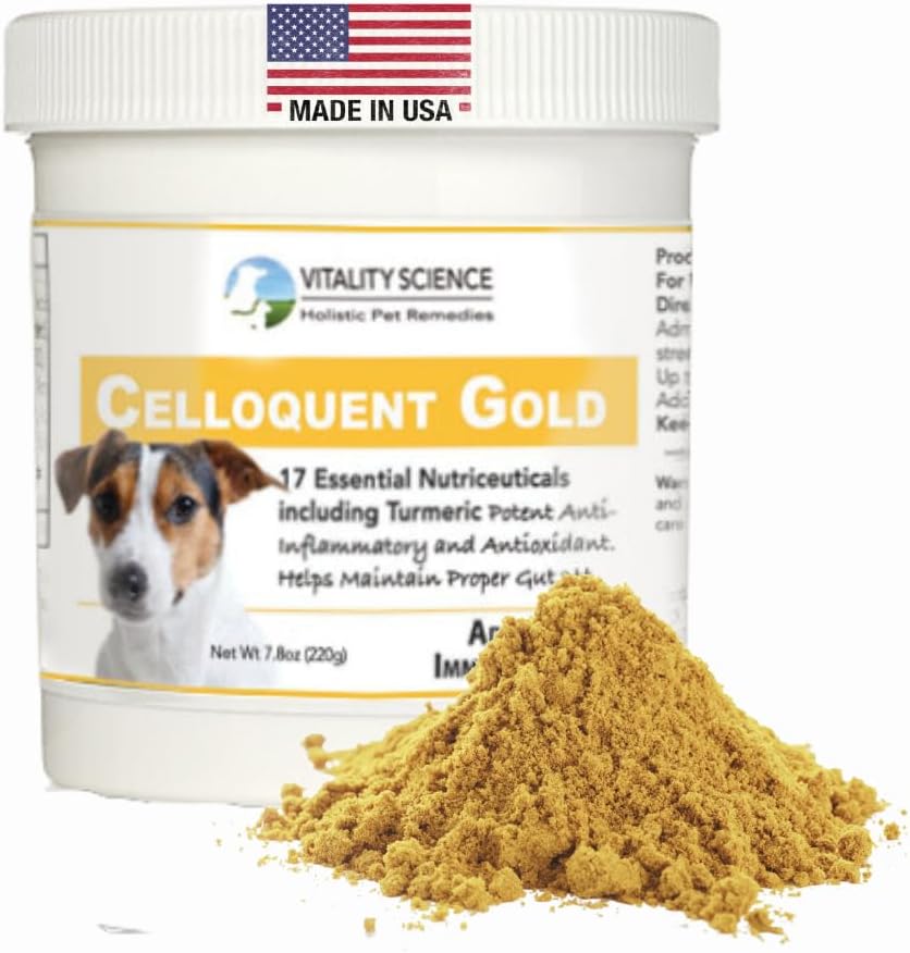 Vitality Science Celloquent Gold for Dogs ← Holistic Advanced Immune Support Supplement TEN 17 Proven Ingredients ← Auto Immune, Vomiting and Diarrhea, Depression (220g)