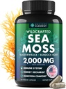 Sea Moss Capsules - Irish Sea Moss Advanced with Burdock Root, Bladderwrack &amp; Muira Puama for Immunity, Gut, " Energy - Superfood Sea Moss Suplementos w/Raw Sea Mos Powder - 120 Irish Seamoss Pills