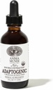 Anima Mundi Apothecary Adaptogenic 7 Mushroom Drops - with Organic Mushroom Extracts - Liquid Immune Support Tintura con Reishi, Lion's Mane, Cordyceps & Chaga Mushroom Liquid Extract (2oz)