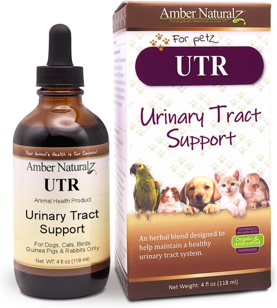 Ámbar NaturalZ UTR UTR Urinary Tract Herbal Suplemento para perros, gatos, aves, guinea cerdos, y conejos ¦ Pet Herbal Suplemento para el soporte de la vejiga Silencio 4 Fluid Ounce Glass Bottle Ø Manufactured in The USA