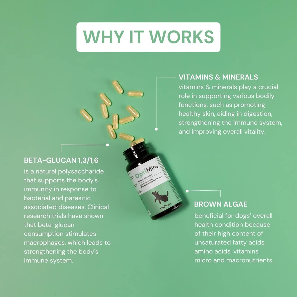 OptiMins Dog Vitamin & Mineral Capsules - Nutrientes Esenciales para la Salud - Vitalidad & Immune Support - Multivitamínico, Aminoácidos y Minerales para la Esquía, la Digestión y la Salud del Corazón