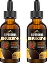 Suplemento bereberina con canela de Ceylán 3000mg - Alta biodisponibilidad Liposomal Bereberina gotas líquidas, Complejo de Berberine HCL Plus Suplementos Turméricos, Activador AMPK, Adecuado para Mujeres,Men-120ml