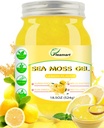 Mar irlandés Moss Gel Raw 18.5OZ Natural Wildcrafted Seamoss Gel con 92 Minerales y Vitaminas, Digestión Saludable, Proyecto No GMO