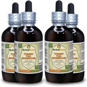 Turquía Tail Mushroom (Trametes Versicolor) Tintura, Dried Mushroom Liquid Extract (Marca: HerbalTerra, Proudly Made in USA) 4x4 fl.oz (4x120 ml)
