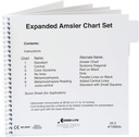 Amsler Grid Chart Set, Expandido