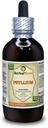 Psyllium (Plantago Ovata) Tintura, Extracto líquido seco orgánico (Marca: HerbalTerra, Proudly Made in USA) 4 fl.oz (120 ml)