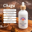 Rainbo - Chaga Mushroom Tintura - Alcohol Gratis - Doble Extract Mushroom Suplemento - Soporte Inmunitario, Soporte Celular, Suplemento de Chaga Líquida, Vegan, No GMO, 3.4 fl oz
