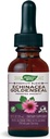 Nature's Way Premium Formula Echinacea-Goldenseal, 250 mg por por porción, 99,9% Alcohol-libre, 1,01 Oz.